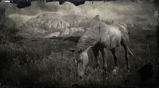 Red Dead Redemption 2 Tennessee Walker